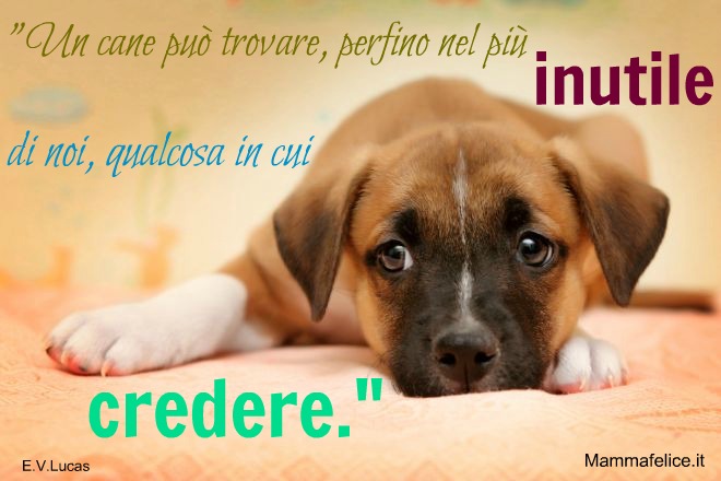 Frasi E Cartoline Belle Sui Cagnolini Frasi Mammafelice